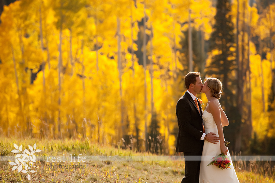 Wedding couple walks back to gorrono ranch with the golden aspens in the background. 