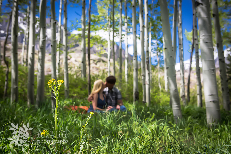 engaged couple sits in an aspen grove