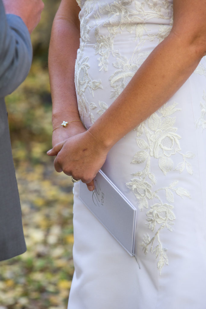 Telluride Town Park Wedding Vows