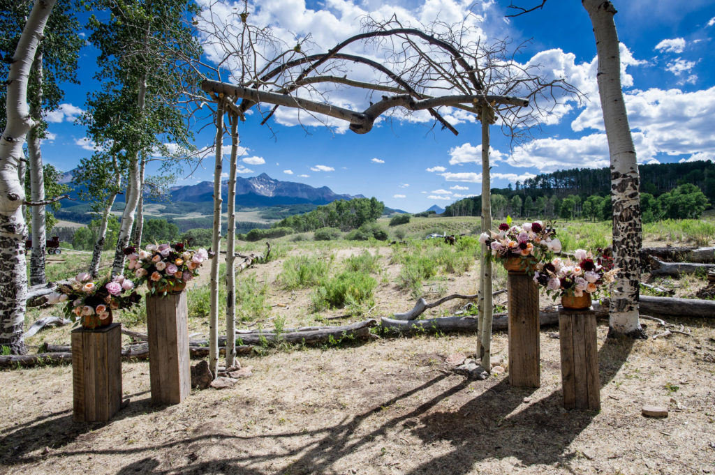 Telluride Sleighs and Wagons Wedding in the Aspen grove in July