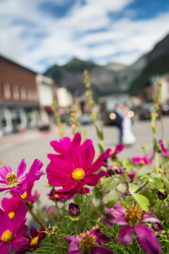 flowers on Main Street Telluride