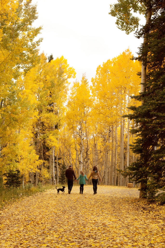 family photography session in fall in the aspen trees