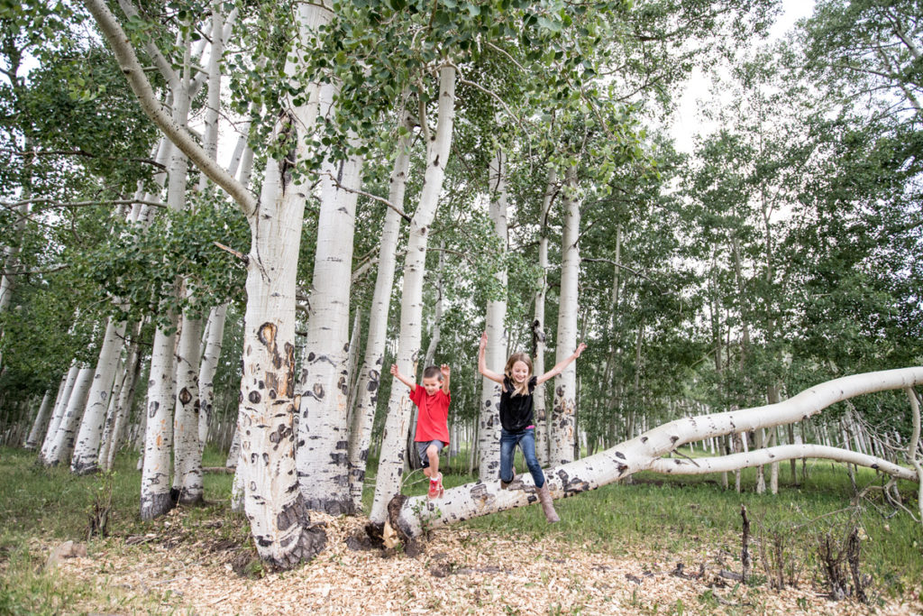 kids jumping off the aspen trees in Telluride, CO