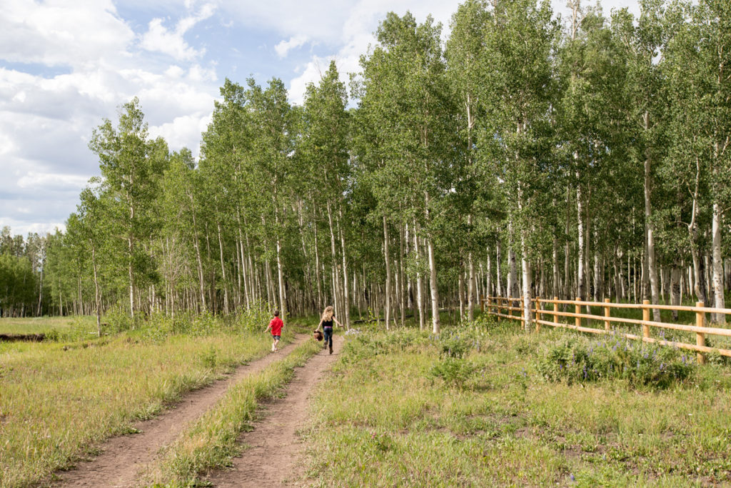 kids running in the Colorado aspen trees