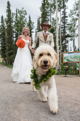san-sophia-overlook-telluride-wedding-pup